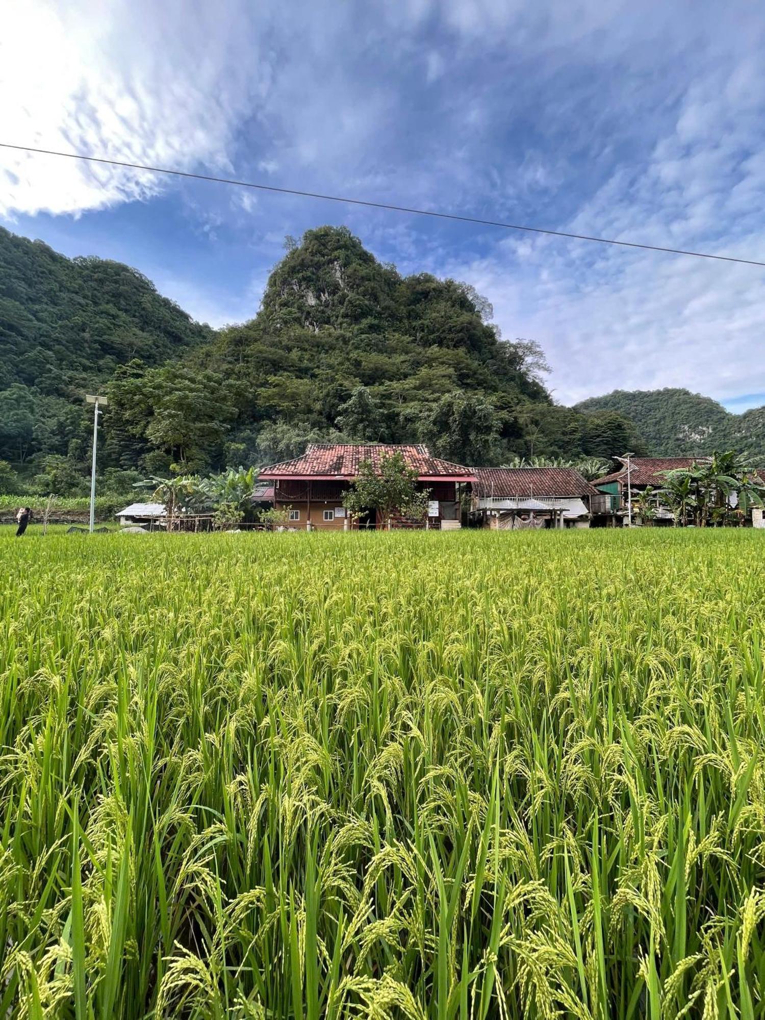 Nung An Homestay Quang Uyen Extérieur photo